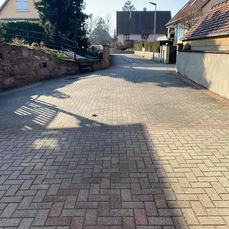 Gite Des Cigognes Sermersheim Exterior foto